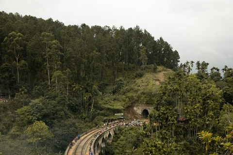 From Hikkaduwa: Ella Private Day Trip with Train Ride