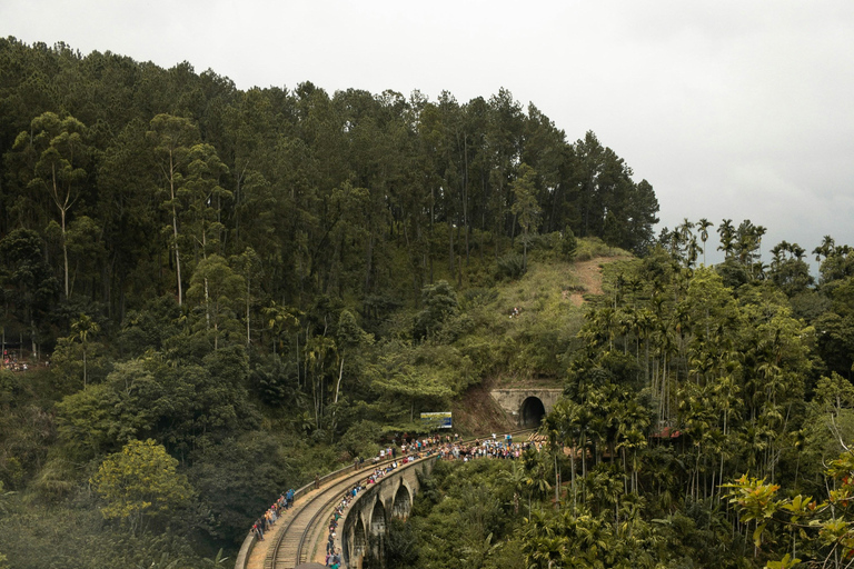 From Hikkaduwa: Ella Private Day Trip with Train Ride
