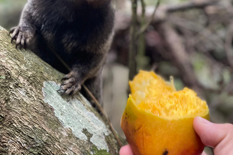 Excursion de 7 jours à Rio de Janeiro