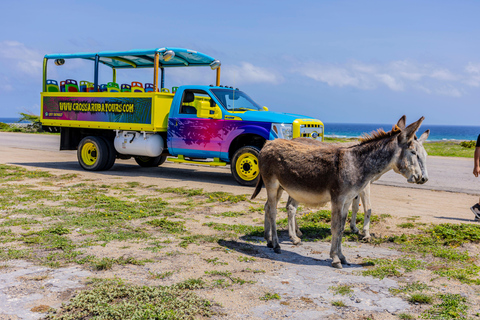 Parque Nacional e Baby Beach por cross aruba tours