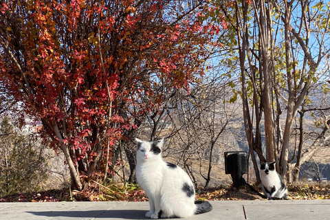 Yerevan: Havuts Tar Monastery Hiking Tour