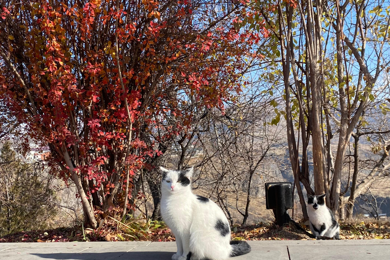 Yerevan: Havuts Tar Monastery Hiking Tour