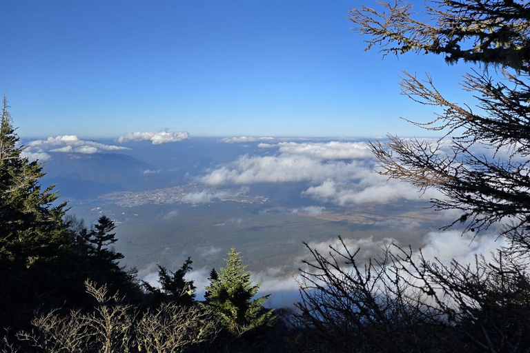 De Tóquio: Excursão particular de 1 dia ao Monte Fuji e Hakone