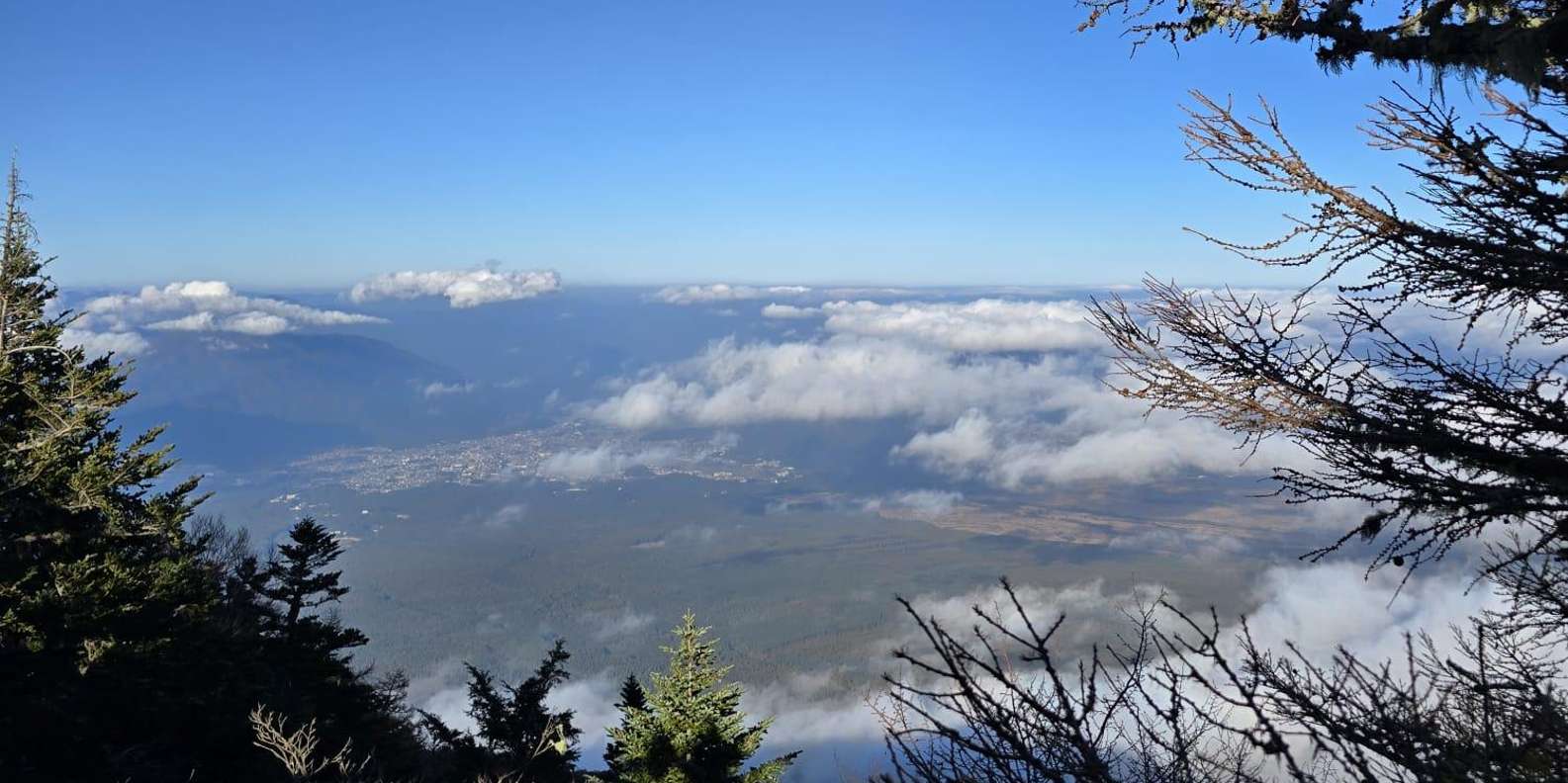 From Tokyo: Mount Fuji & Hakone Full Day Private Tour