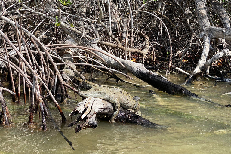 Tour des flamants roses Rio Lagartos, Yucatan 2 heures