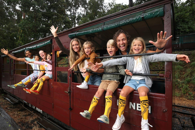 Melbourne Puffing Billy &amp; Penguins Day Tour
