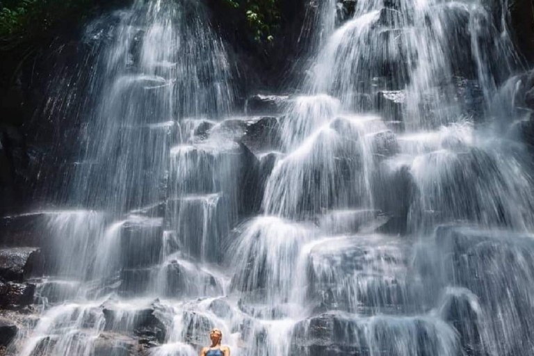 Het beste van Ubud Watervallen, Rijstterrassen & Jungle Swing TourAll Inclusive Tickets