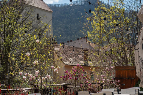 Brașov: Fortress Walls Picnic with Sparkling Wine & Coffee
