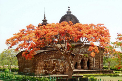 From Kolkata: Bishnupur Private Day Trip with Guide