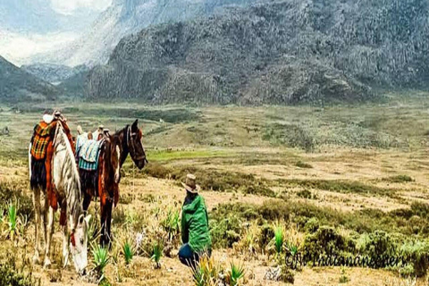 2 Days / 1 Night Awash National Park Wildlife Safari