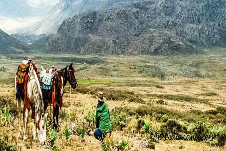 2 Days / 1 Night Awash National Park Wildlife Safari