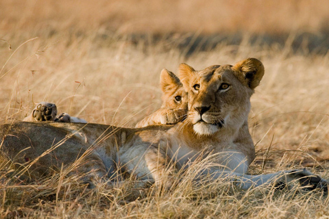 El mejor paquete de safari de 9 días por la vida salvaje de Tanzania