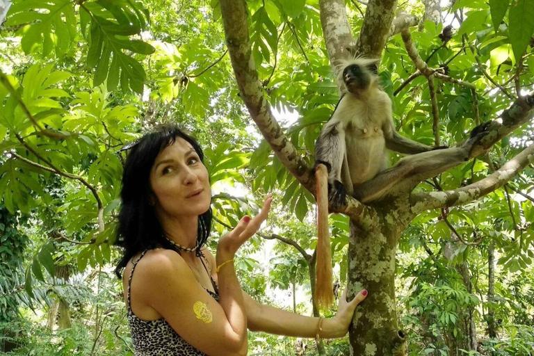 Zanzibar: wycieczka do lasu JozaniWycieczka prywatna bez transportu z/do hotelu, wszystkie bilety wstępu w cenie