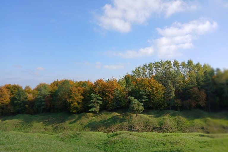 Paris: Verdun Battlefields Day Trip by Car