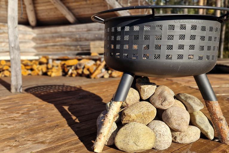 Helsinki: Buggy Ride, Reindeer Farm Visit, and Picnic