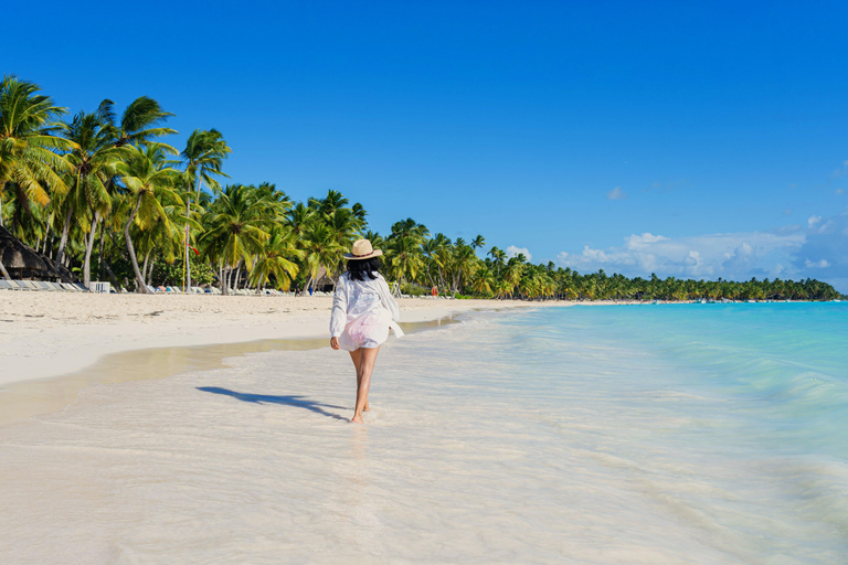 From Punta Cana: Saona Island Tour by Catamaran with Open Bar and Buffet Option with transportation from Punta Cana