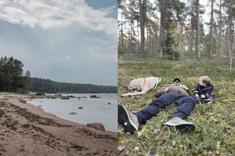 Slow Tour West : Arvo Pärt Centre and Coastal Hikes With sauna session