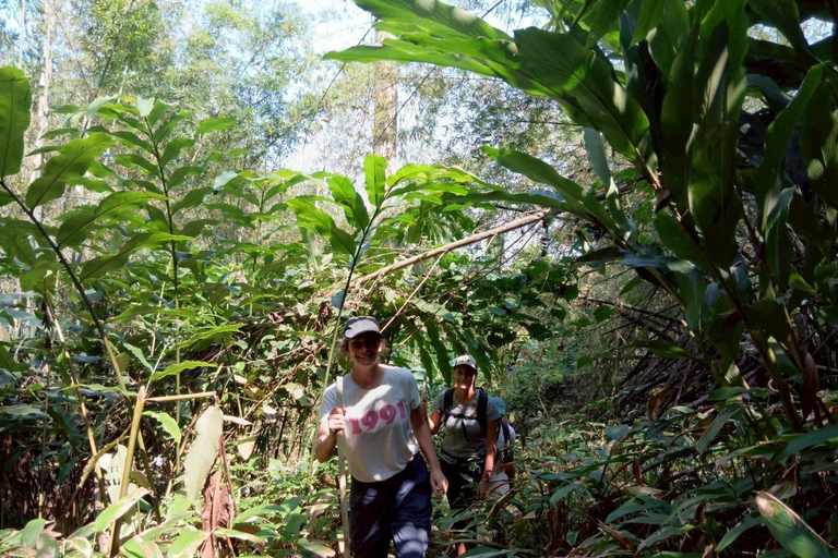 Chiang Rai: Hill Tribe Trek, Waterfall, & Hot Springs Tour