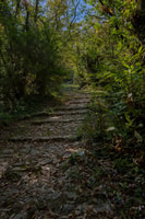 Kotor, Eco Tour - Bike,Hike&Gastro,all in one! - Housity