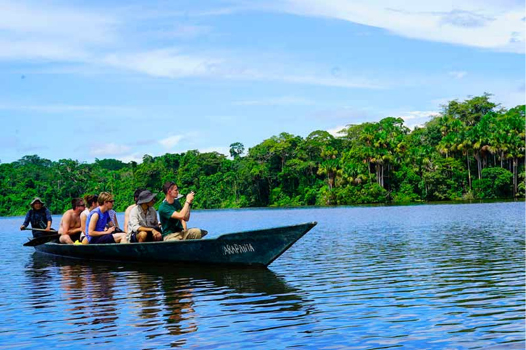 Puerto Maldonado: Amazon River Otters Adventure