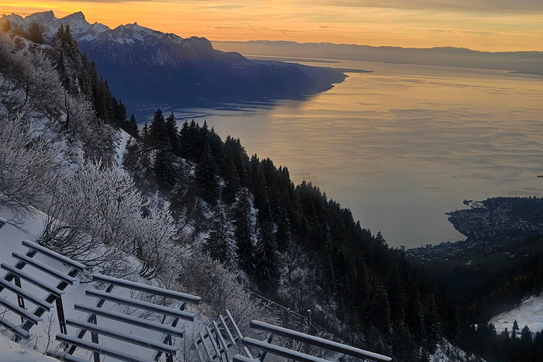 Zürich:Interlaken Grindelwald,Lauterbrunnen (Option Privat)