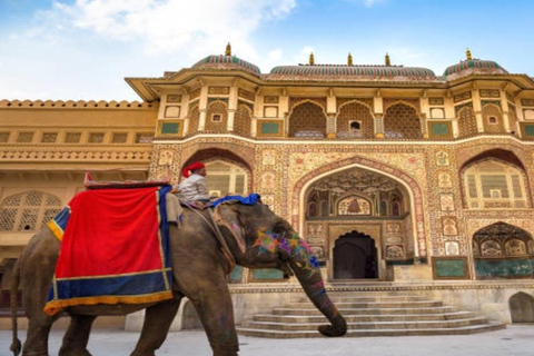 From Delhi: Jaipur Same-Day Tour Delhi: All Inclusive Sam Day Tour Driver, Guide, With Ticket