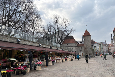 Tallinn: Old Town Walking Tour with Guide