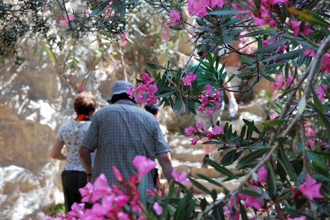 Paphos :Akamas Jeep Safari with cruise to the Blue Lagoon
