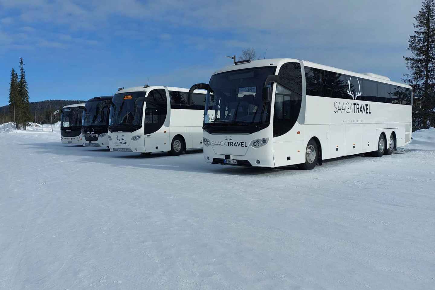 Rovaniemi: Insider Northern Lights Bus with Drinks & Snacks