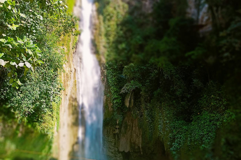 Moalboal: Island hopping i 1-dniowa wycieczka do wodospadu Mantayupan