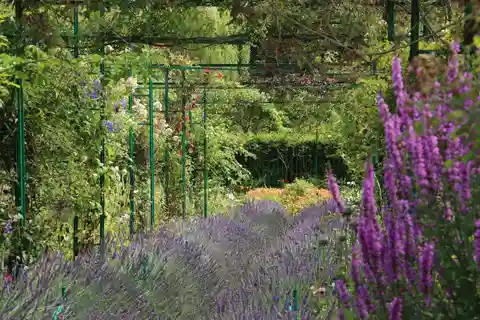 Från Rouen: Privat strandutflykt i Giverny Gardens
