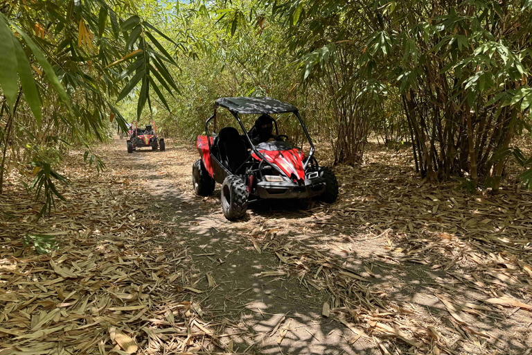 Bamboo Dune Buggy Tour