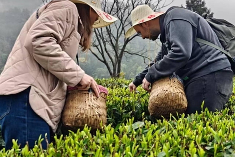 2-Day Zhangjiajie: Rice Terrace, Glass Bridge & Opt Tea Tour 2-Day Zhangjiajie Tour