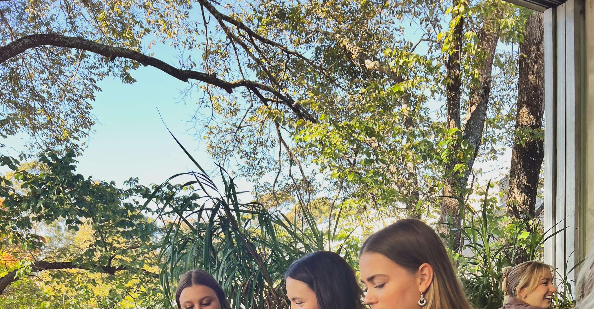 Melbourne: Yarra Valley Wine Tour + Lunch & Gin/Beer Option photo 16