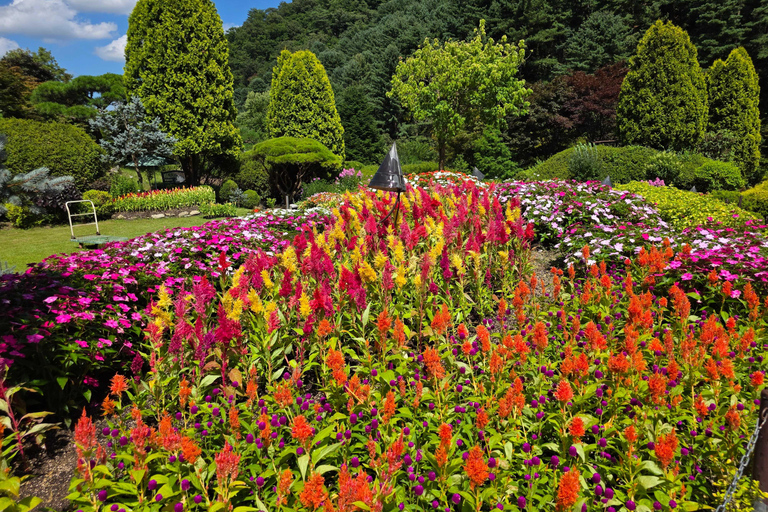 From Seoul: Garden of Morning Calm Day Tour by train