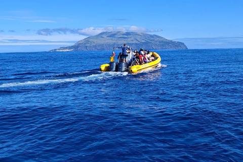Passeios Turísticos: Ausflug nach Corvo mit dem Boot