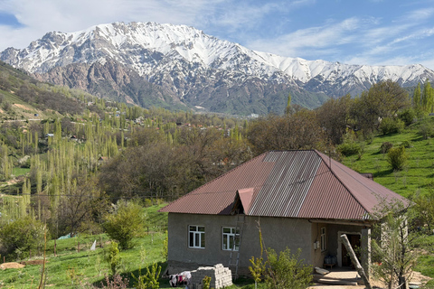 From Tashkent: Amirsoy, Chimgan & Charvak Mountain Day Trip For Local Visitors