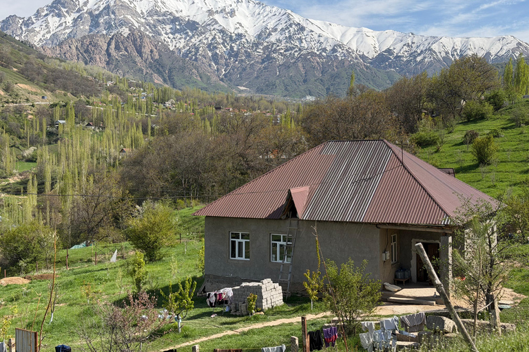 From Tashkent: Amirsoy, Chimgan & Charvak Mountain Day Trip For Local Visitors