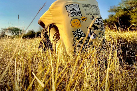 Kenya: 1-Day Safari Adventure with Transfers