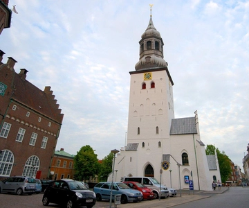 Denmark: Aalborg Tour in Spanish