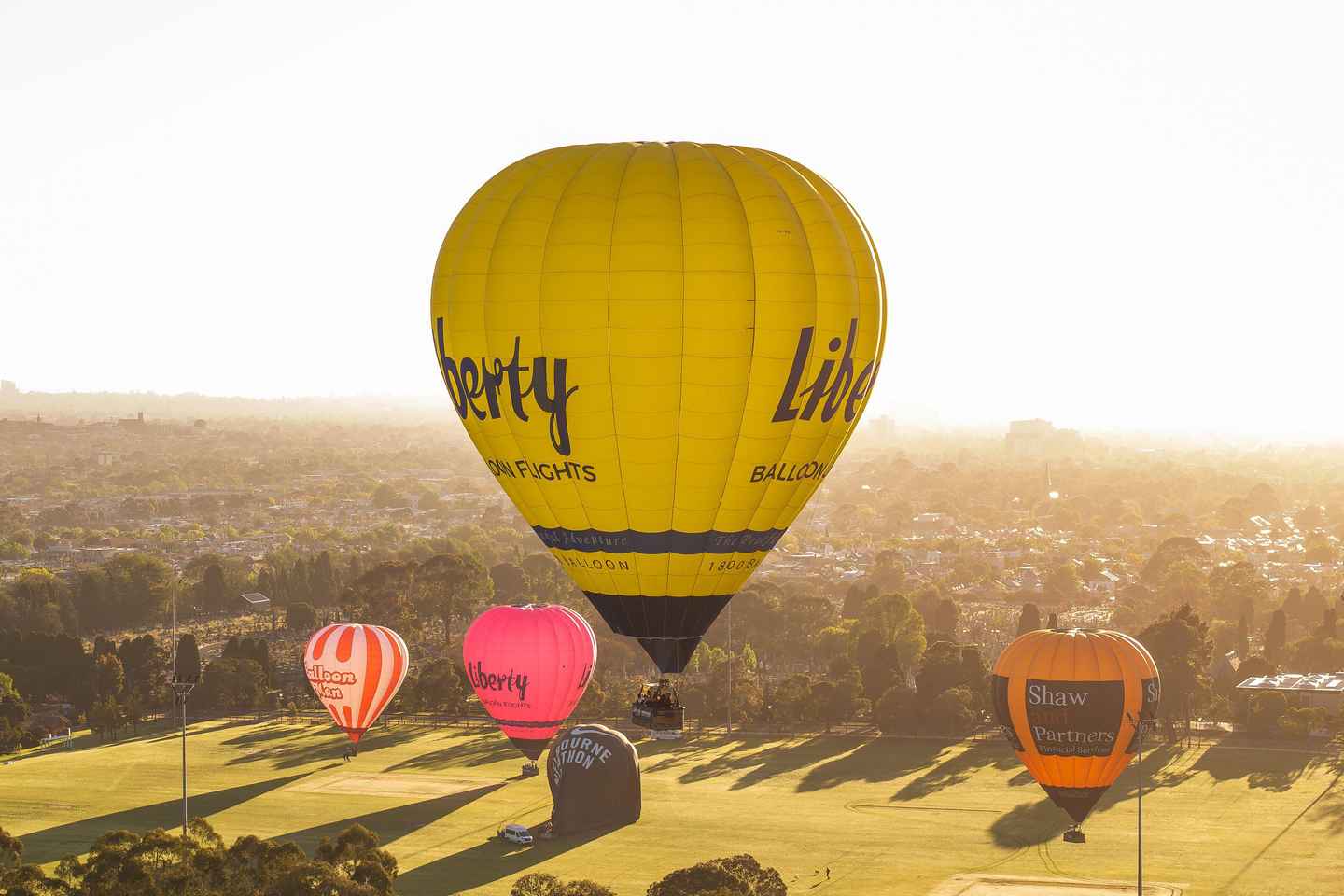 Melbourne: Balloon Flight at Sunrise - Melbourne: Balloon Flight at Sunrise