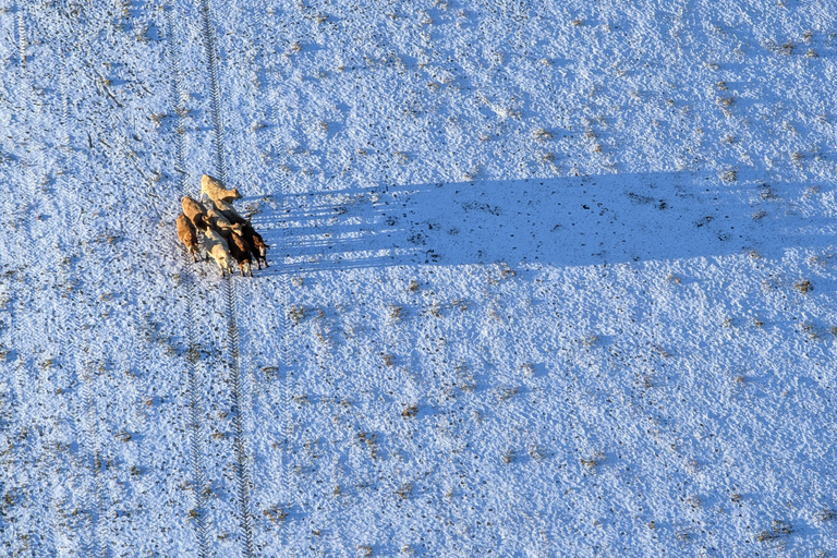 From Prague: Balloon ride with Champagne & Picnic