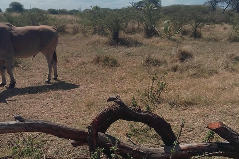 Mombasa: Wildlife Sanctuary Guided Nature Trail Tour Wildlife Sanctuary Guided Nature Trail Tour