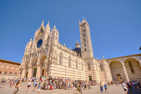 Tuscany Day Trip from Florence: Siena, San Gimignano & Pisa Day Trip with Lunch and Wine Tasting