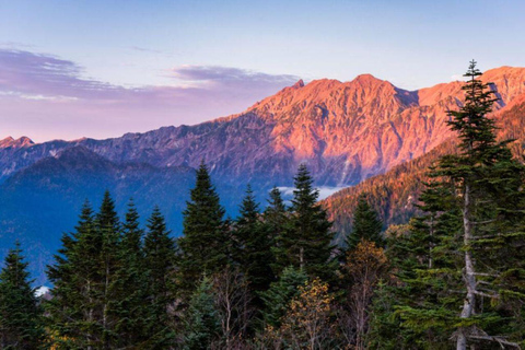 Nagoya return day tour Shin-Hotaka Ropeway& Hida Takayama