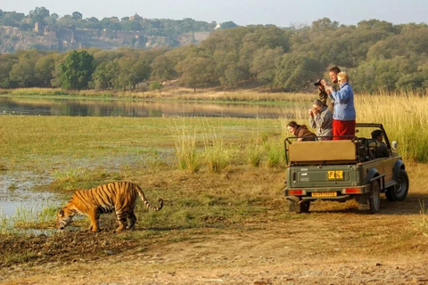 From Delhi: 6-Day Private Golden Triangle with RanthamboreCar + Guide + Tickets + 5 Star Hotel + Shared jeep safari