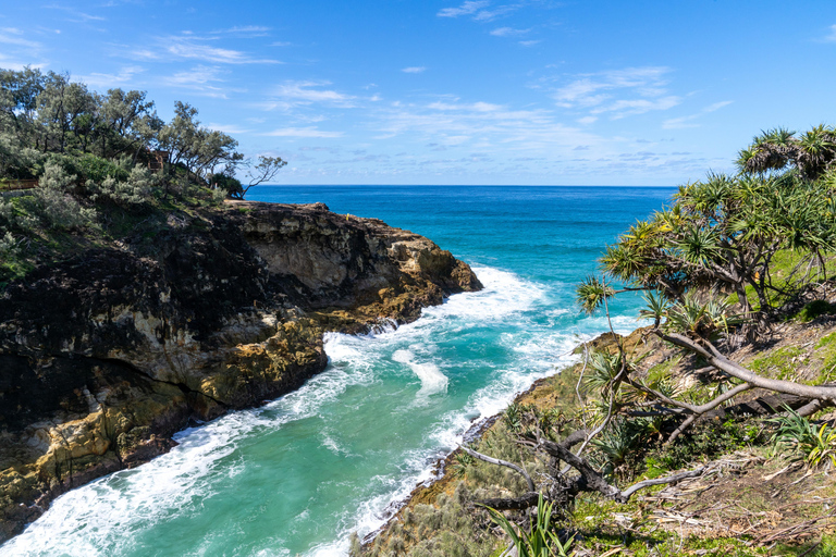 From Brisbane: Stradbroke Island Indigenous Culture Day Tour