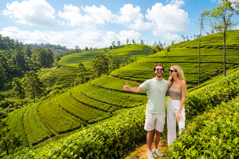 Labookellie Tea Factory: Exclusive Tea Cake & Tea Tasting