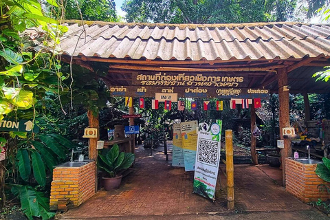 De Chiang Mai a Chiang Rai: Templos, Café Lalita y Tribu de las Colinas