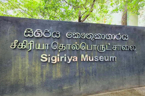 Sigiriya Rock, Elephant Safari & Ayurvedic Massage Day Trip